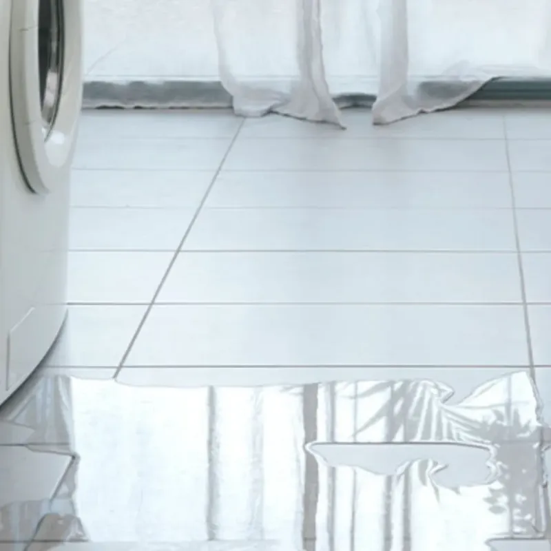 Appliance Leak Cleanup in Starr County, TX