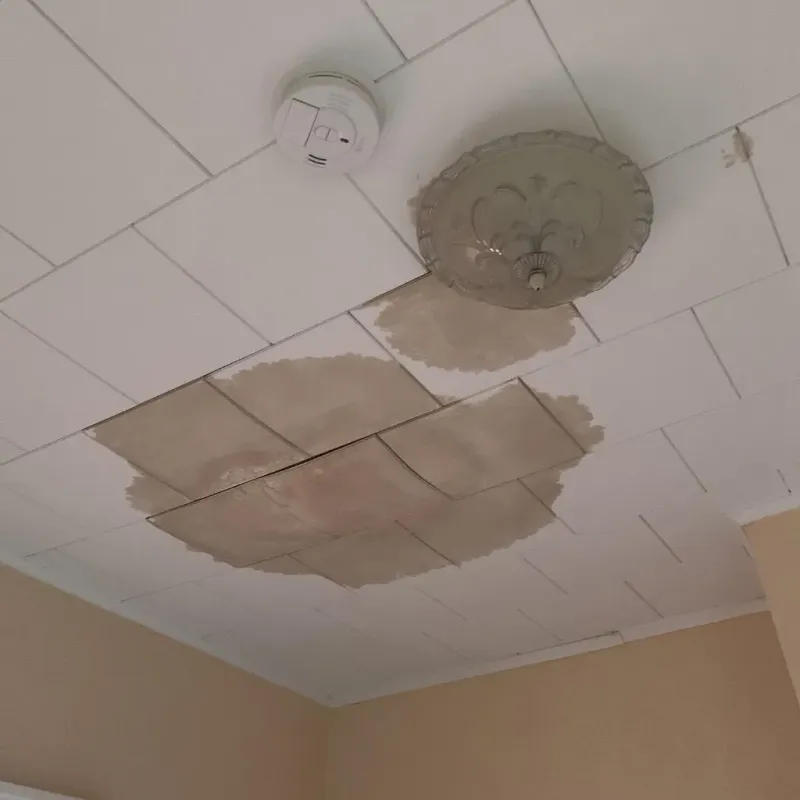 Ceiling Water Damage Repair in Starr County, TX