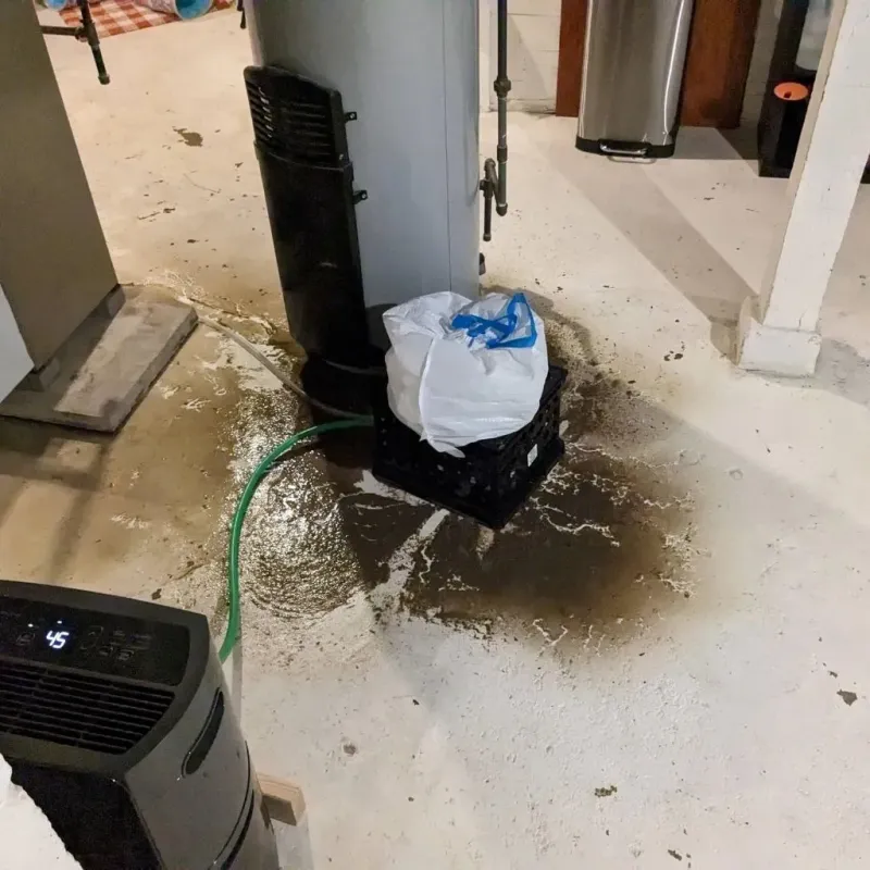 Sewage Backup Cleanup Service in Starr County, TX